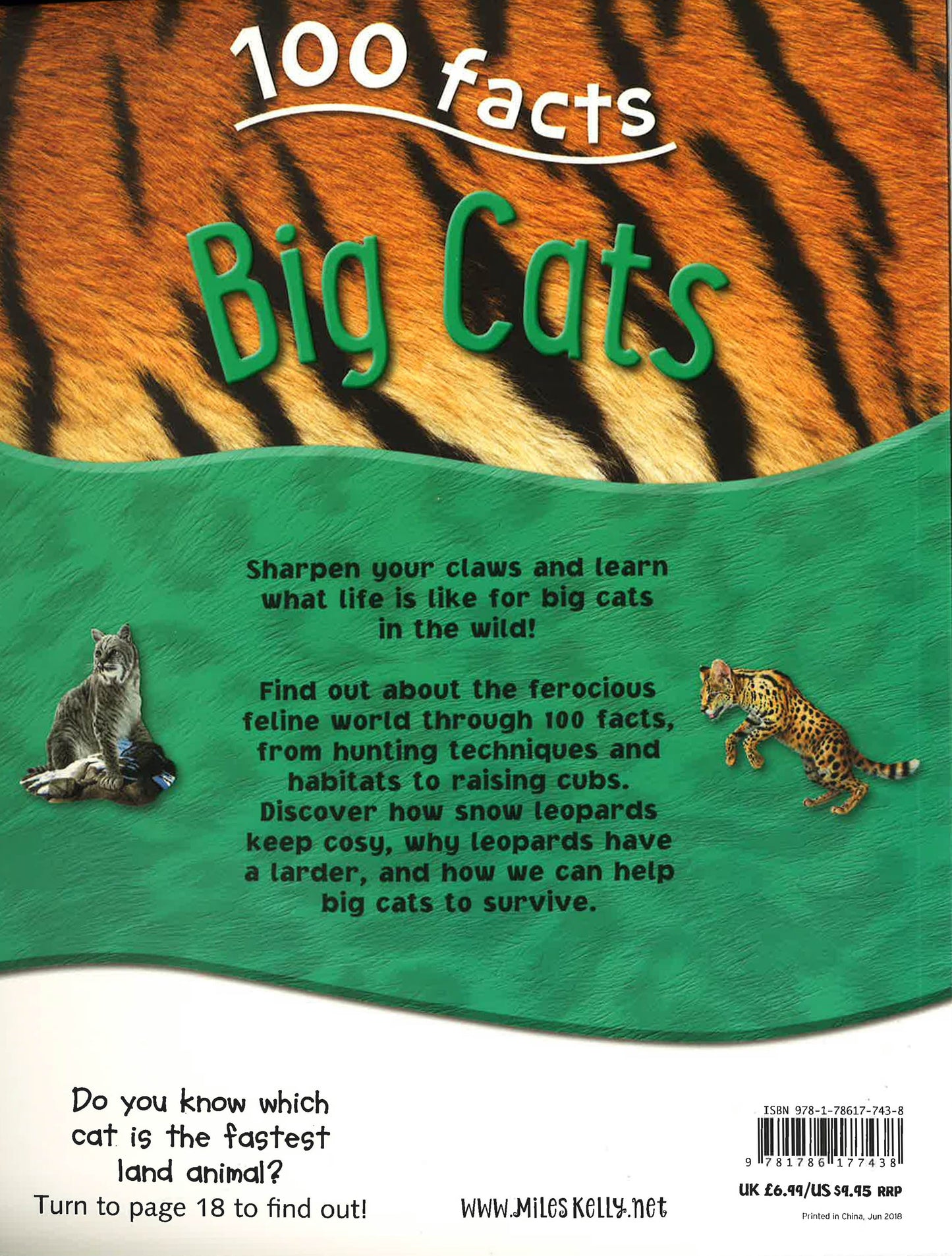 100 Facts Big Cats