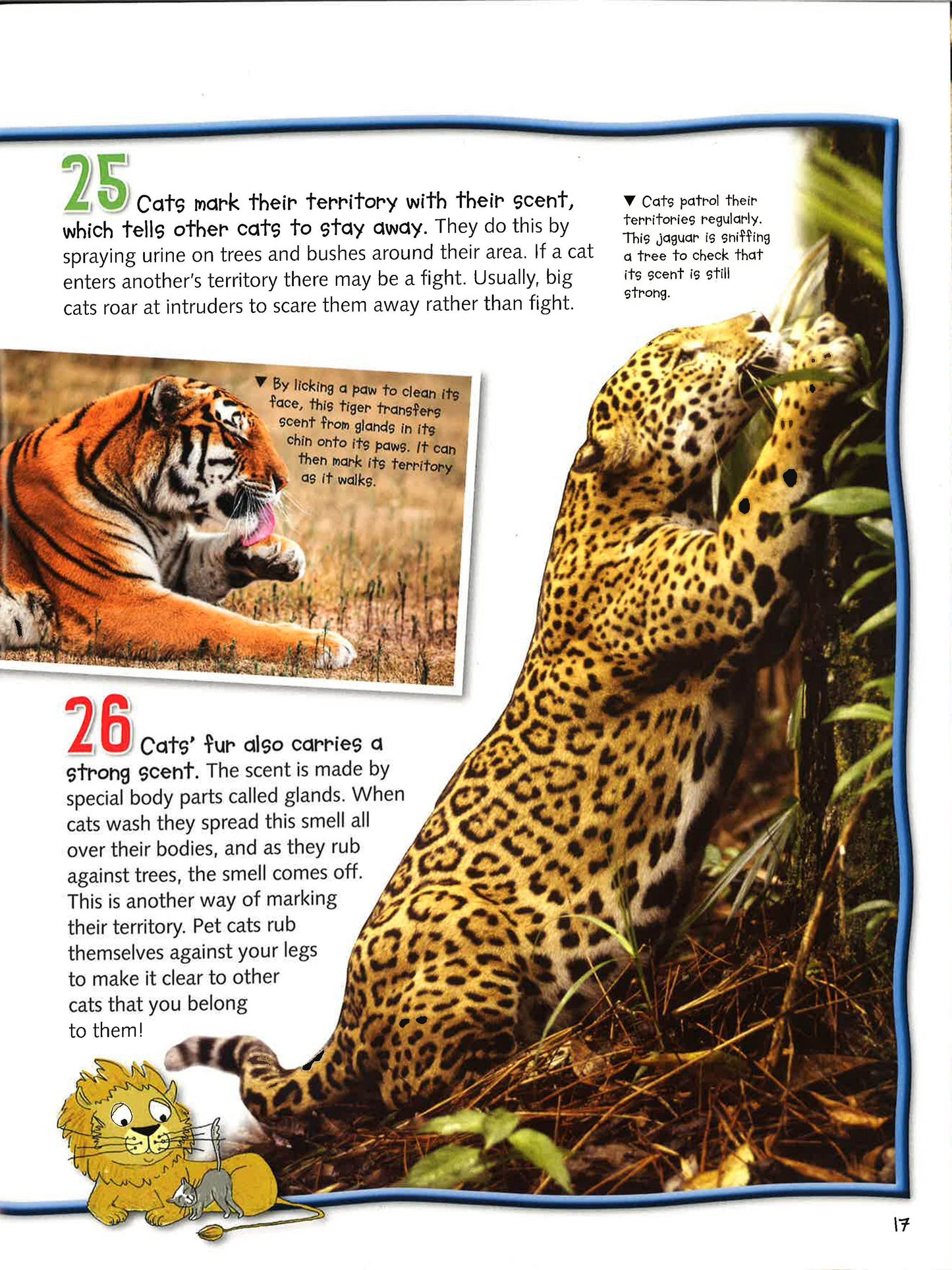 100 Facts Big Cats