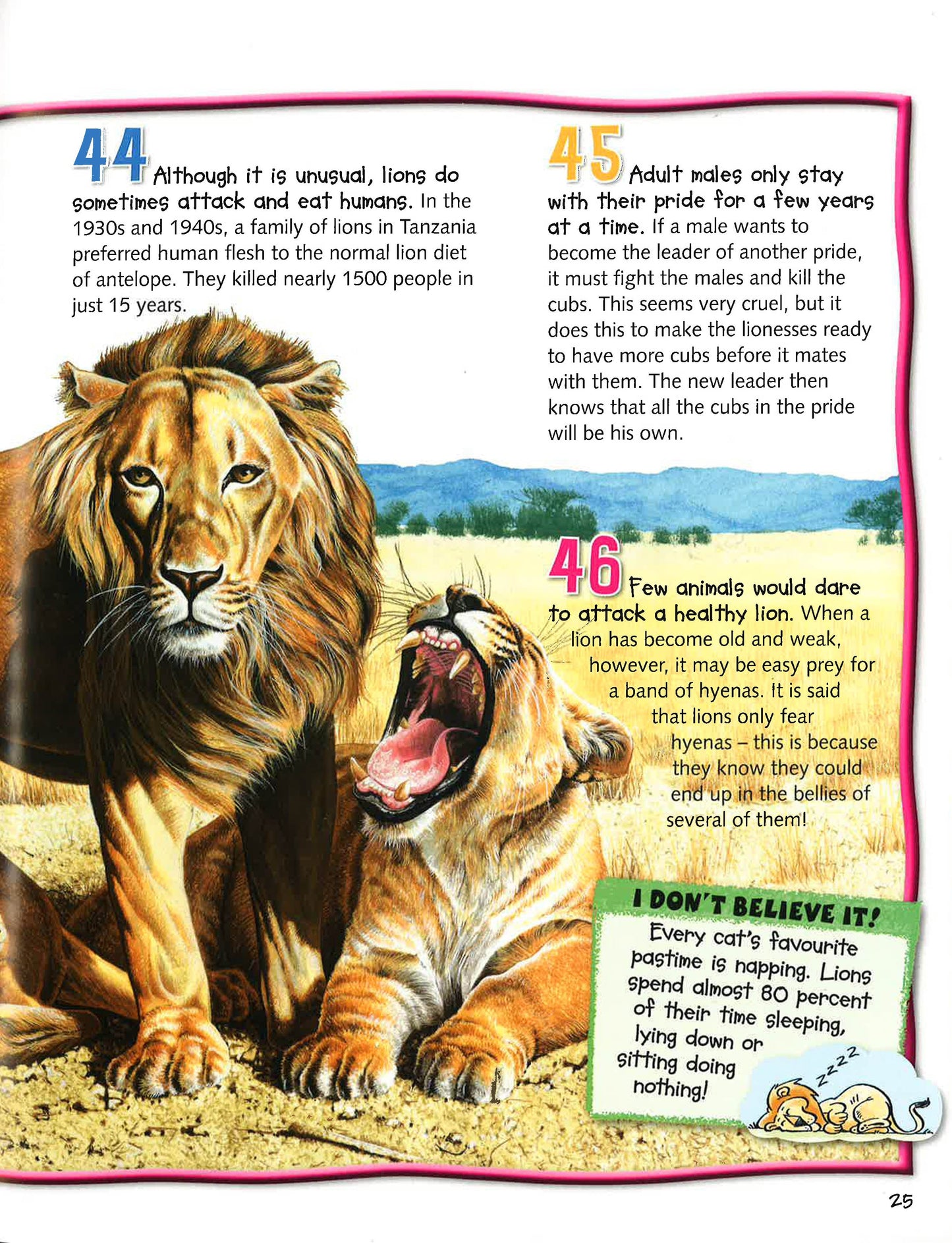 100 Facts Big Cats