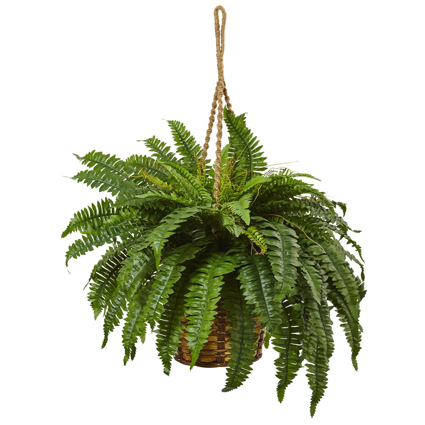 29" Boston Fern Hanging Basket